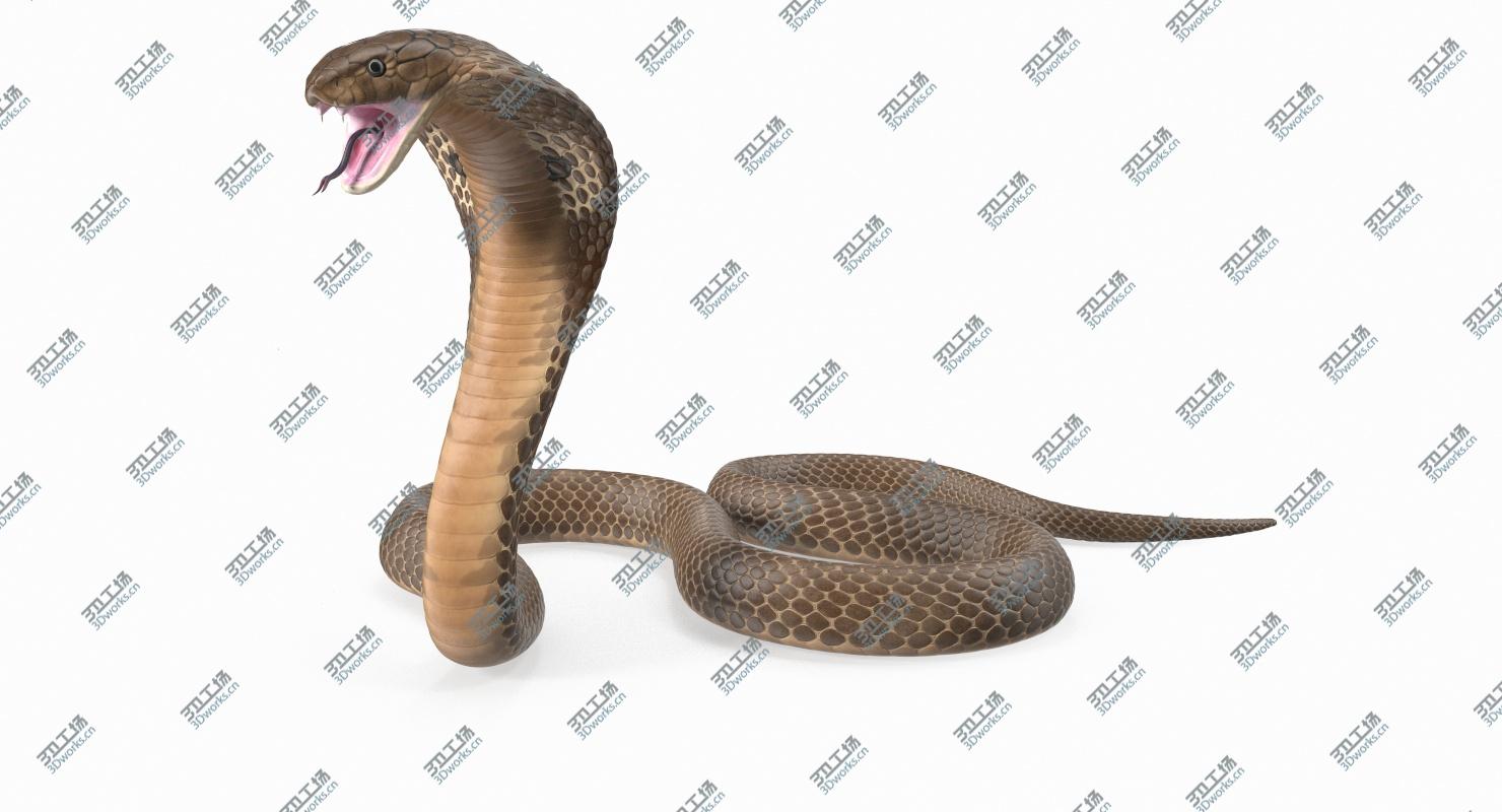 images/goods_img/202104091/3D Beige Skin Cobra Rigged model/3.jpg